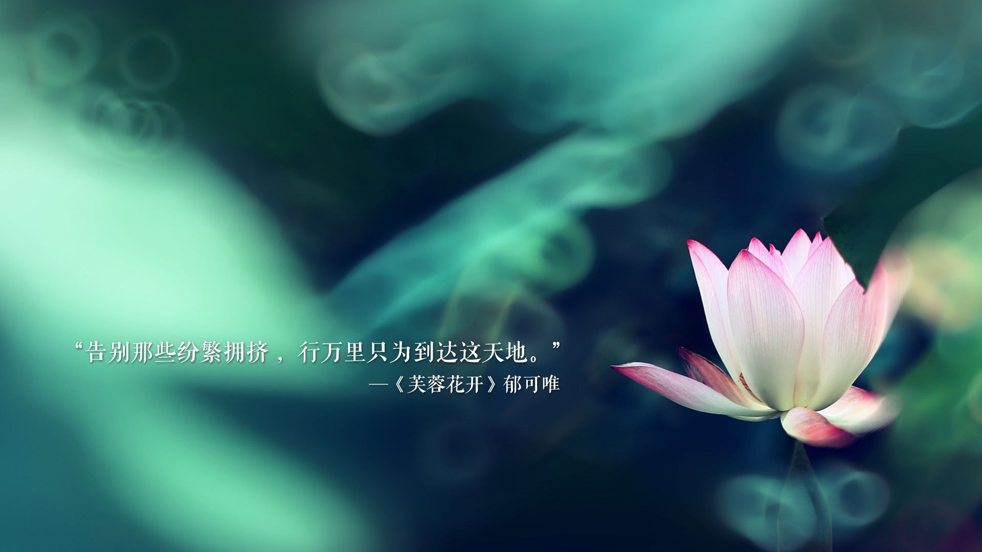 开云APP-青少年足球行业标准逐步完善，推动行业健康良性发展，中国青少年足球发展规划纲要